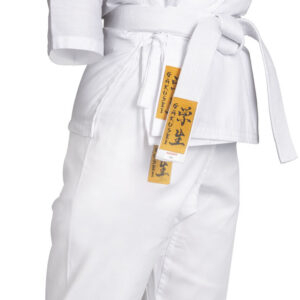 Hayashi Kimono de Karaté « Gakusei »