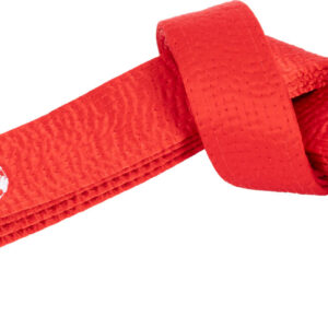 Hayashi Ceinture