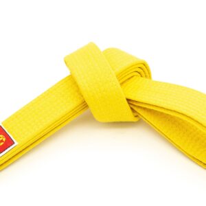 Hayashi Ceinture