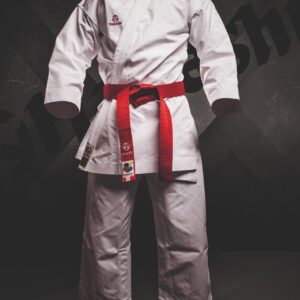 Hayashi Poster « Kata Hollow »