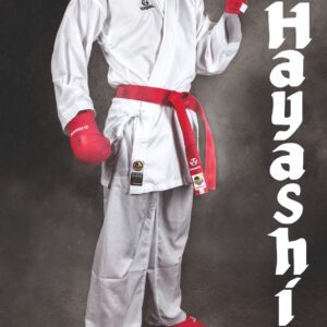 Hayashi Poster « Kumite Hollow »